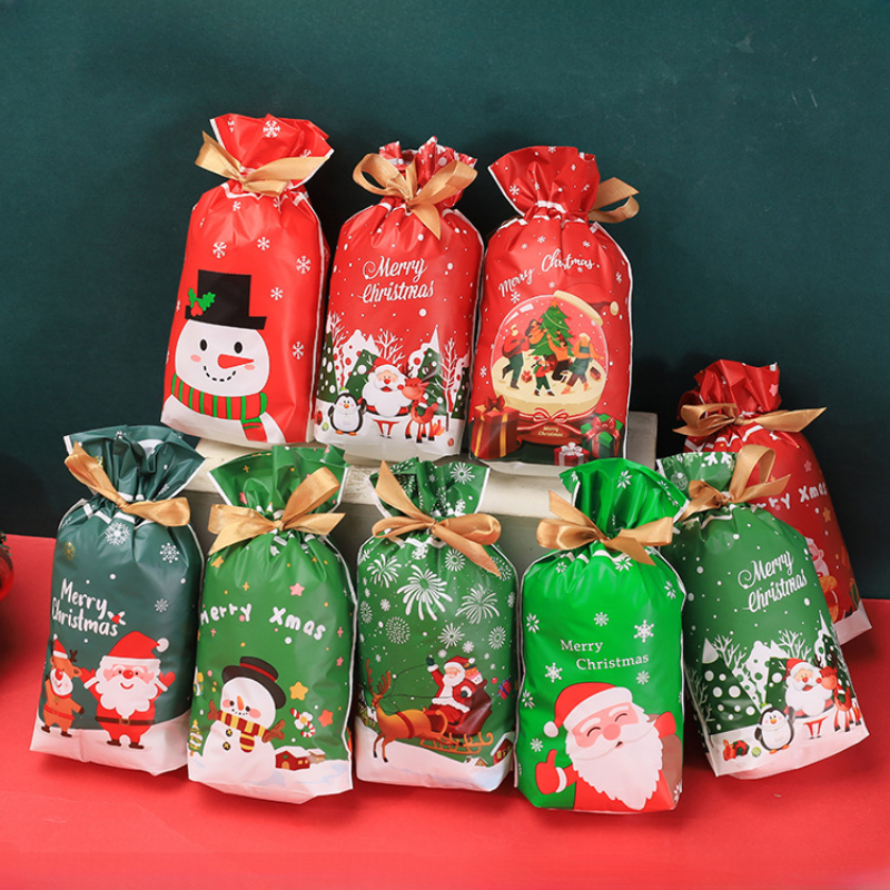 Merry Christmas Citrus Gift Bag