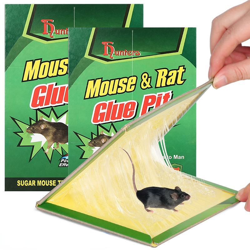 Catchmaster Rat & Mouse Glue Traps 6Pk, Large Bulk Glue Rat Traps, Mouse  Traps Indoor for Home, Pre-Scented Adhesive Plastic Tray for Inside House,  Snake, Mice, & Spider Traps, Pet Safe Pest