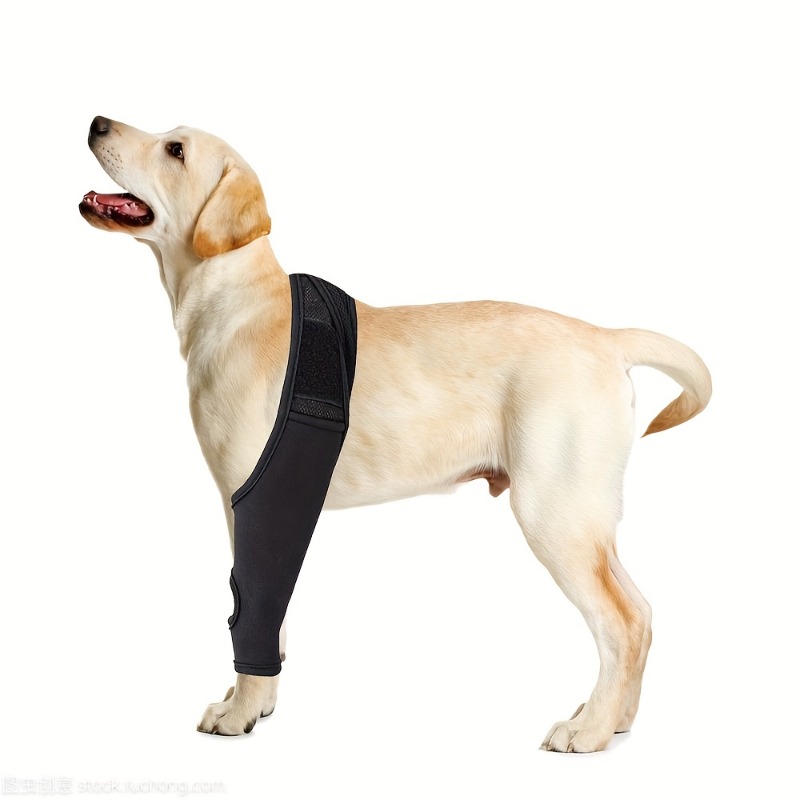 Diy dog knee clearance brace