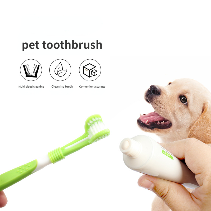 Self cleaning dog outlet toothbrush