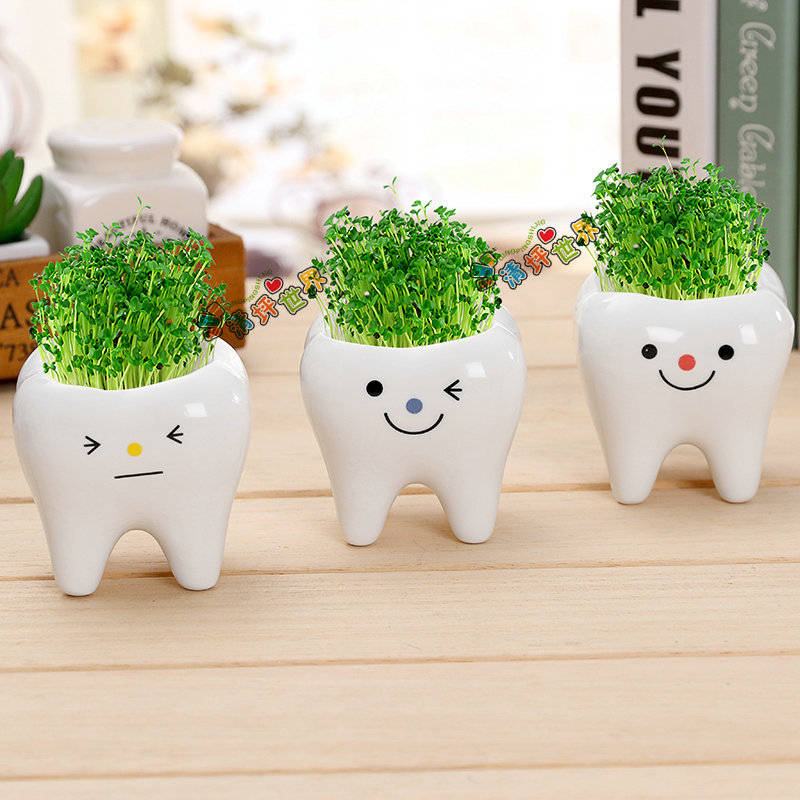 

1pc Ceramic Flowerpot Mini Tooth Shaped Cartoon Cute Potted Plant Desktop Potted Tooth Plant Pot Diy Desk Decorate Science Education School Gift