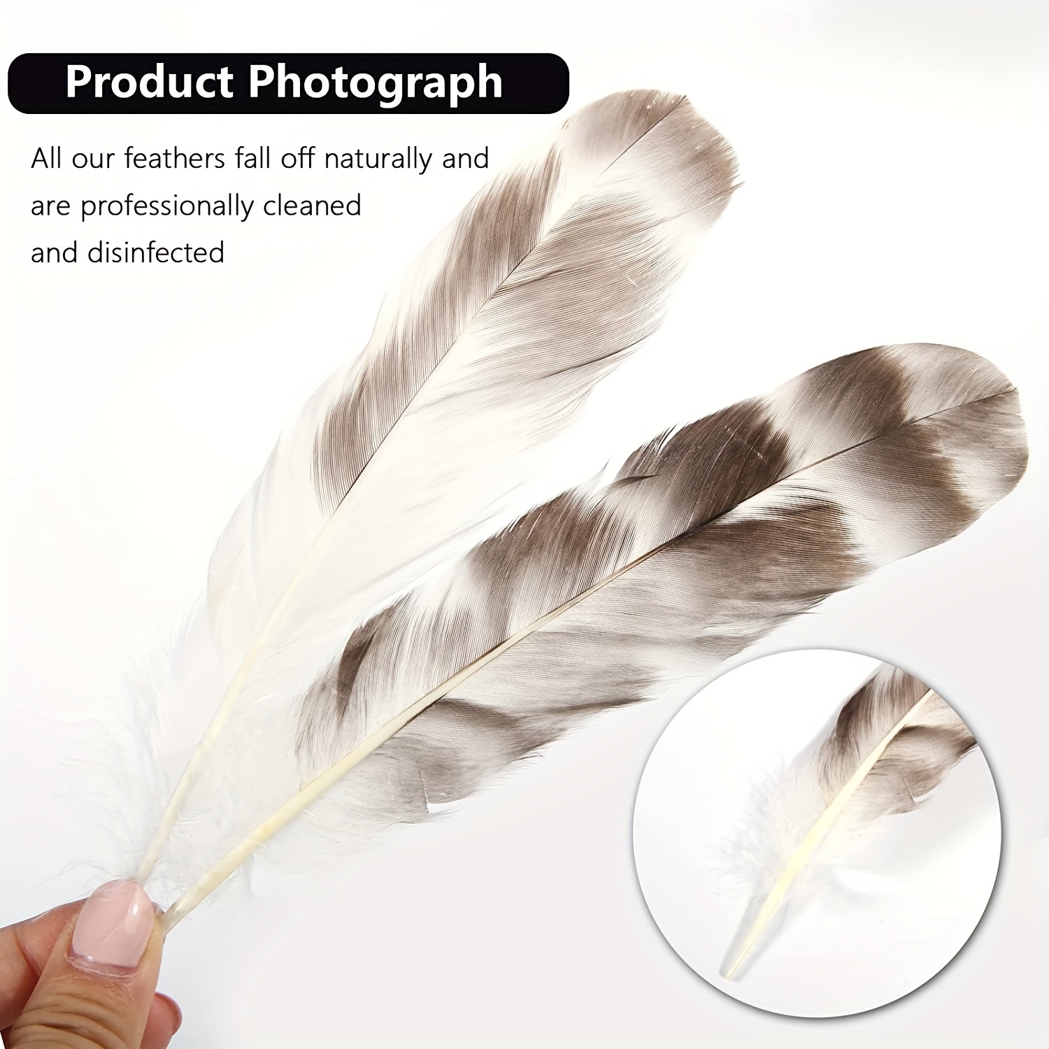 Bulk Guinea Wing Feathers Natural Feathers For Diy Wedding - Temu