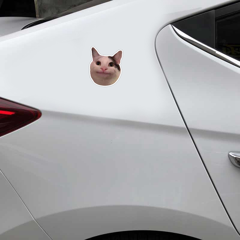 Funny Coughing Cat Meme Sticker Vinyl Waterproof Sticker Cute Decal Car  Laptop Wall Window Bumper Sticker - Temu