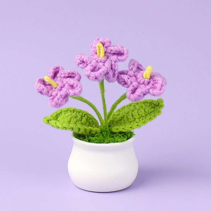 Finished Handmade Woven Forget Small Potted Plant Wool - Temu