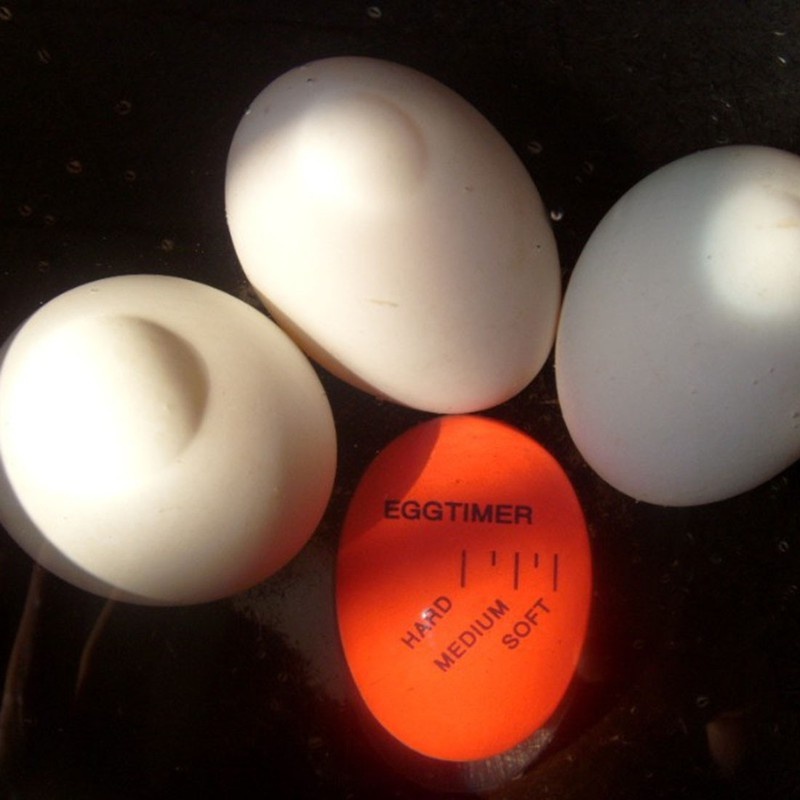 Egg Timer Egg Timer For Boiling Eggs Cute Egg Timer Carton - Temu  Philippines