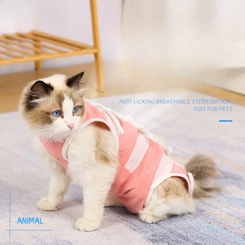 Cat Restoration Shirt, Anti Licking, Anti Shedding, Anti Hair Loss, Weaning  And Comfort Clothing For Cats After Surgery, Pure Breathable And  Disinfected Clothing For Cats - Temu