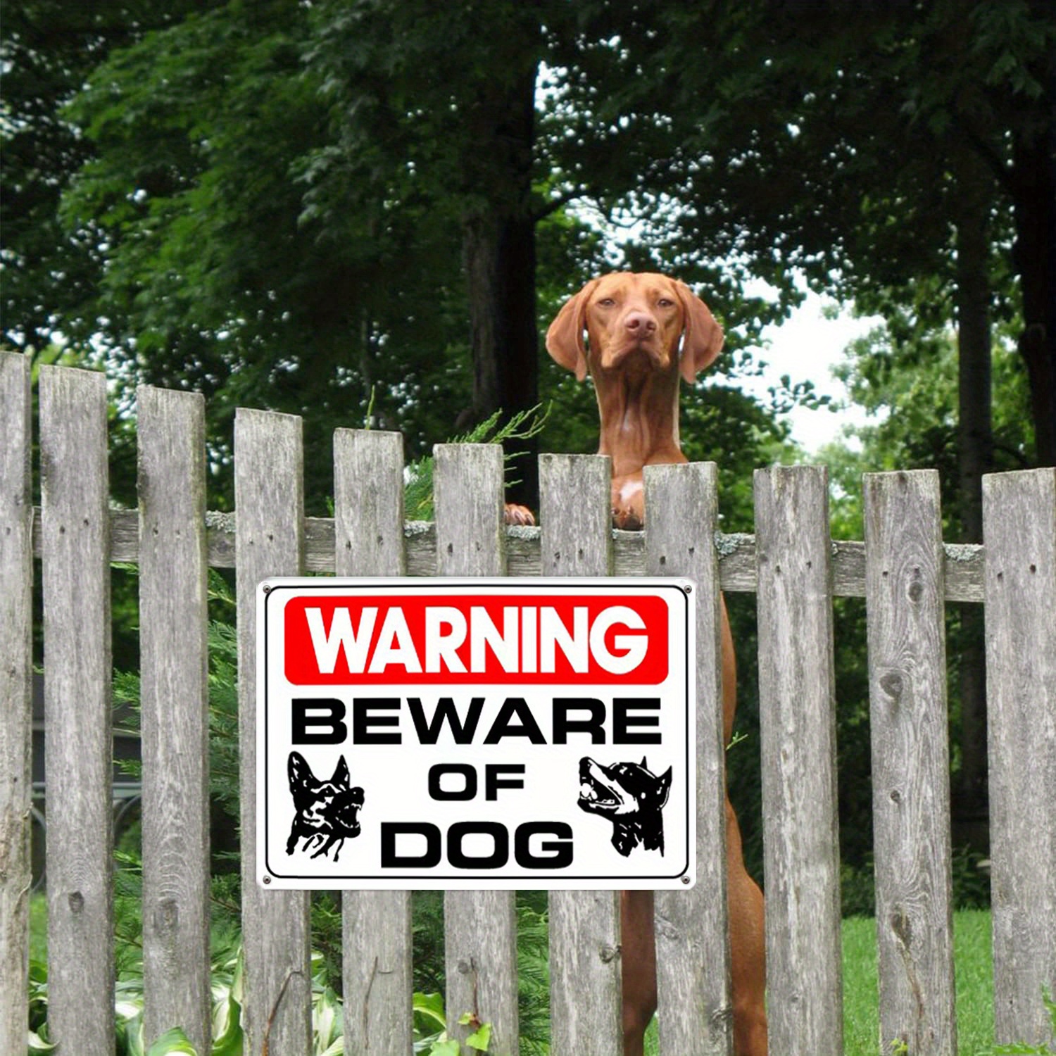Beware Of The Ankle Biter Sign, Funny Beware Of The Dog Gate