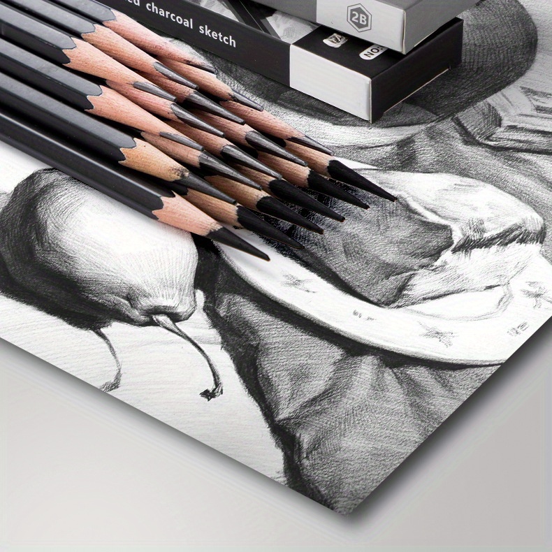 Sketch Pencils Kit Drawing Art Supplies charcoal Pencil - Temu