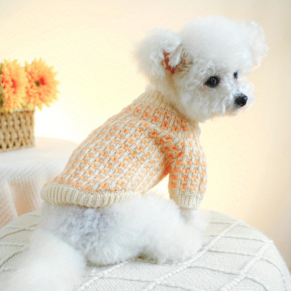 Dog Clothes Autumn And Winter New Teddy Schnauzer Bomei College