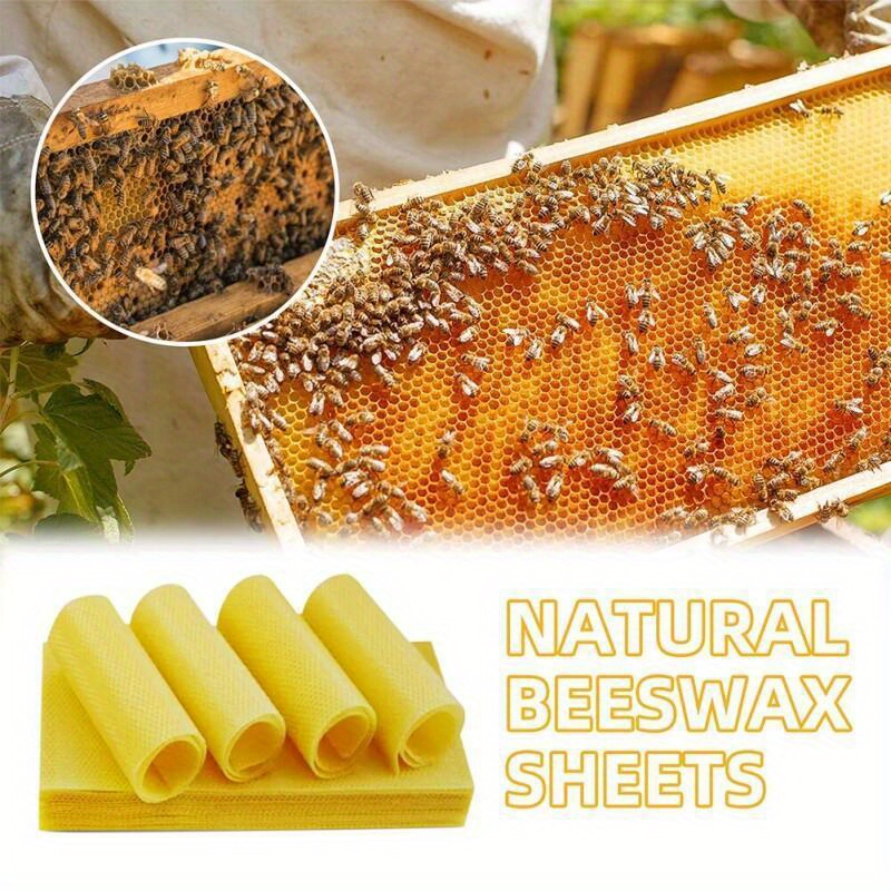 10pcs Beeswax Sheets Candle Making Craft DIY Kit Candle Maker Full Bees Wax  Honeycomb Beekeeping Foundation