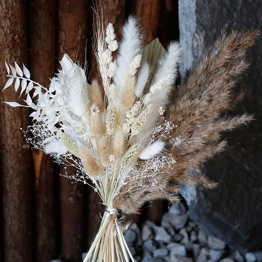 Natural Dried Flowers Mini Boho Decor Dried Flowers Breast - Temu