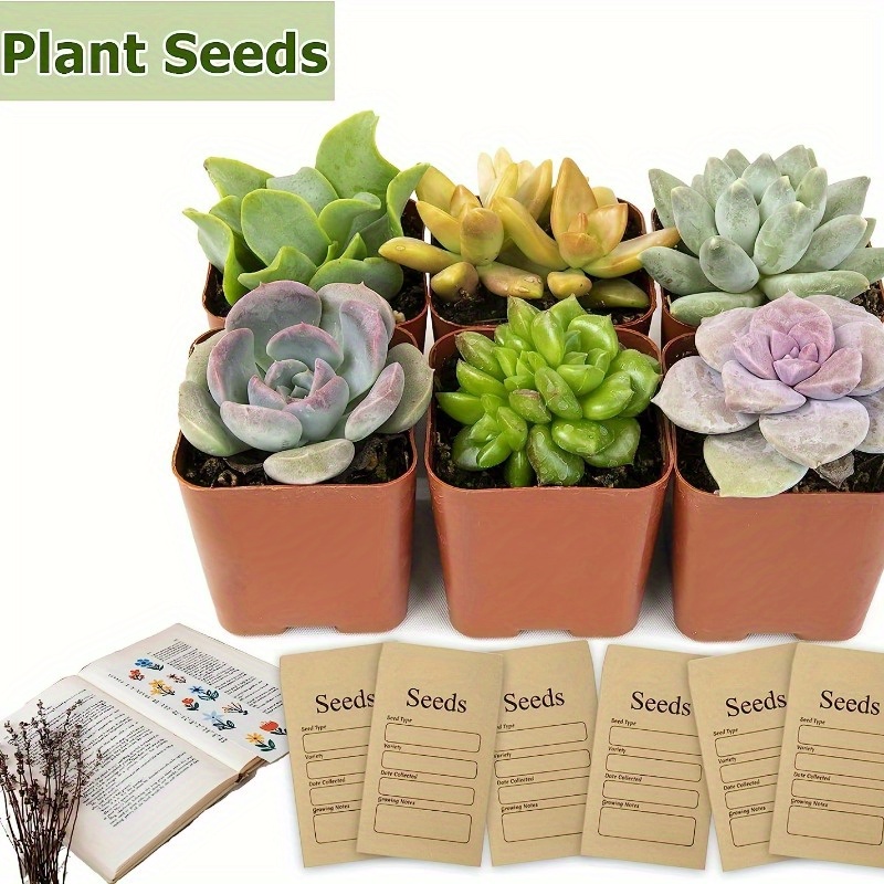 20pcs, Seed Envelopes Small Self-Adhesive Sealing Sead Envelopes Kraft Seed  Saving Packets 2.36 X 3.14 Inches For Collecting Flowers Vegetables Seed