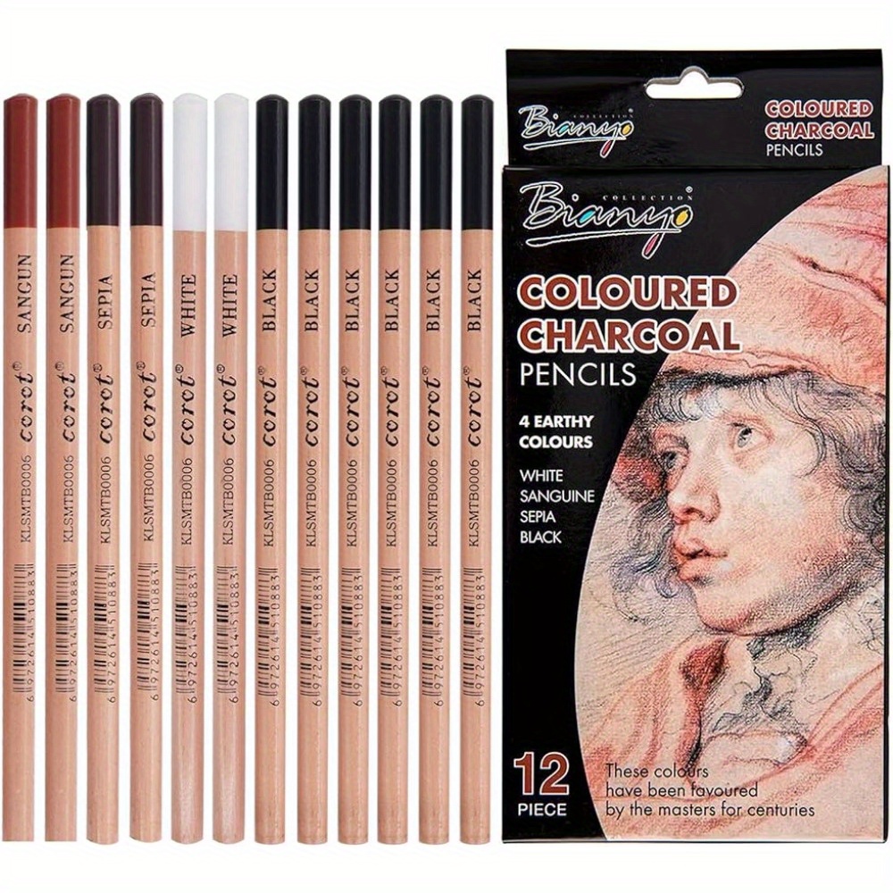 Professional Colored Charcoal Pencil Drawing Set - Temu