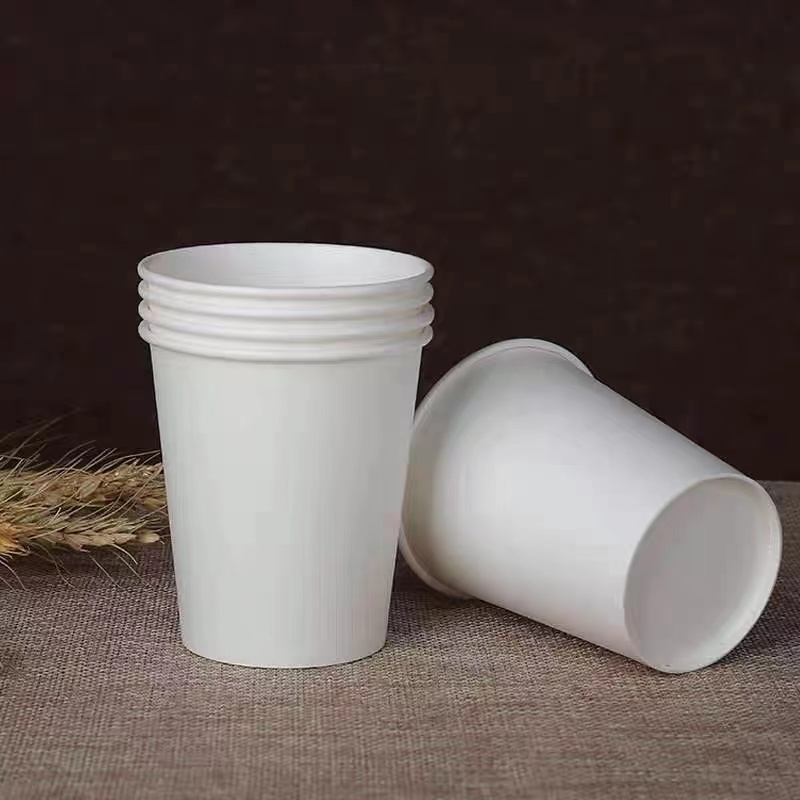 white water cups (50 pcs)