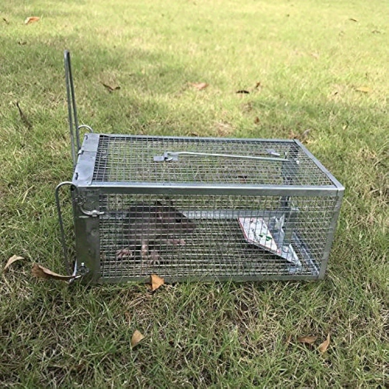 Paquet de 2 pièges à rats Humane : pièges à souris intérieurs pour les  petits rongeurs, les chipmunks, les écureuils et autres animaux vivants –  cage de capture et de déclenchement