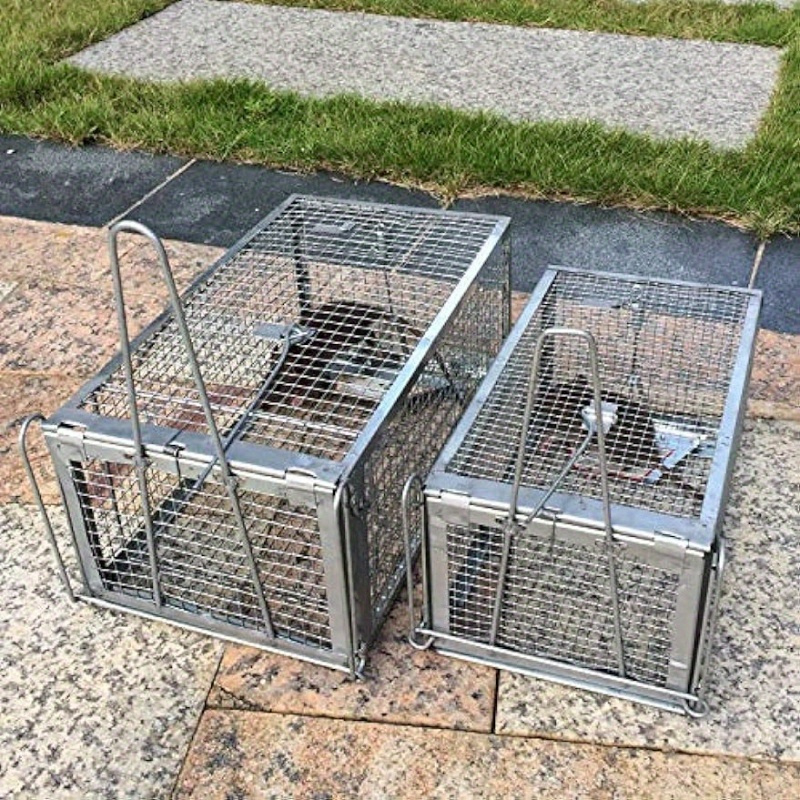 Chipmunk, Squirrel Trap Cages, Rat Trap That Works, Humane Mouse Trap for  Home | Catch and Release | Reusable and Durable | No Kill Animal Trap | for