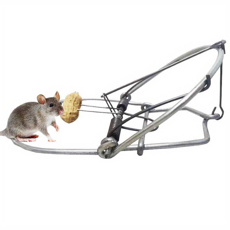 household mouse rat trap box rodent
