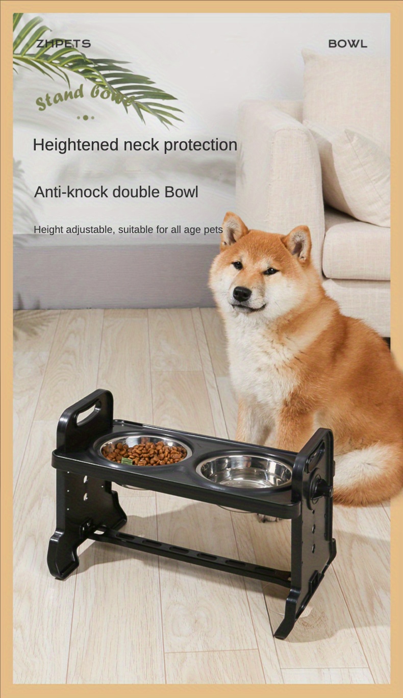 Heightened discount dog bowls