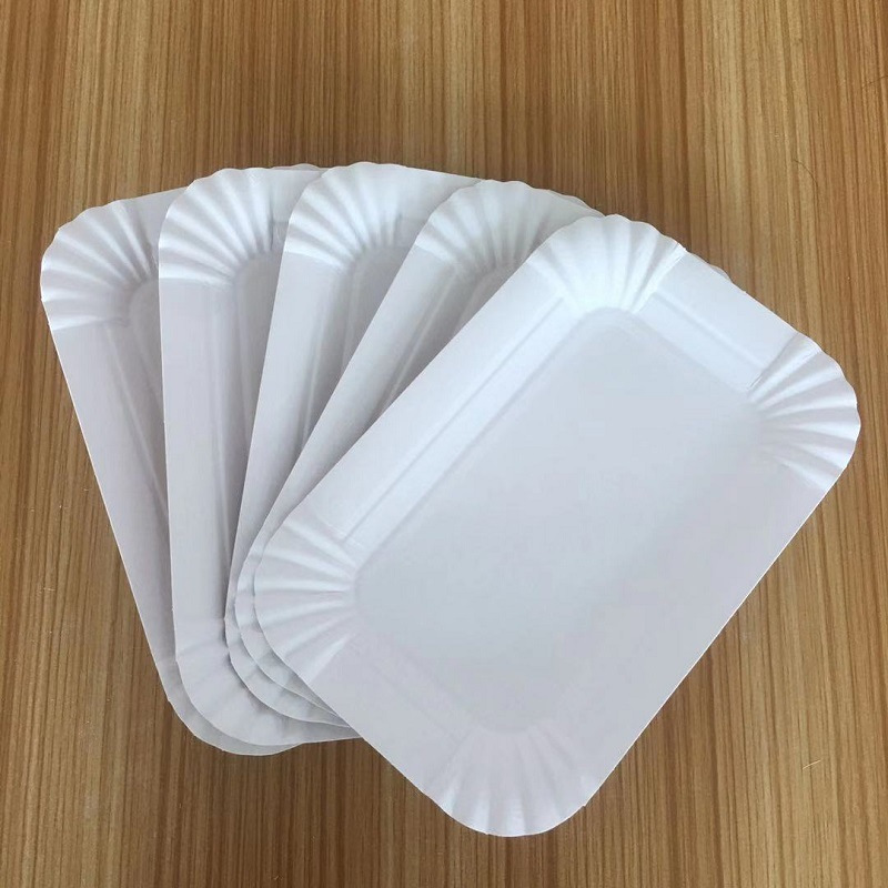 Disposable Plastic Rectangle Plates Rectangular Dessert Plates