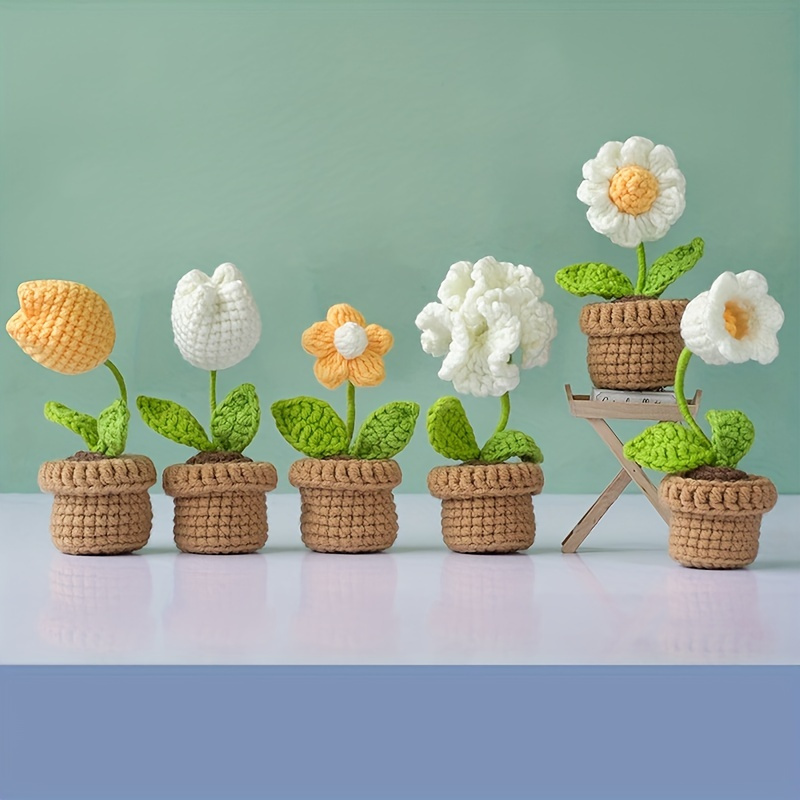 Crochet Kit Beginners Hanging Potted Plants Crochet Starter - Temu