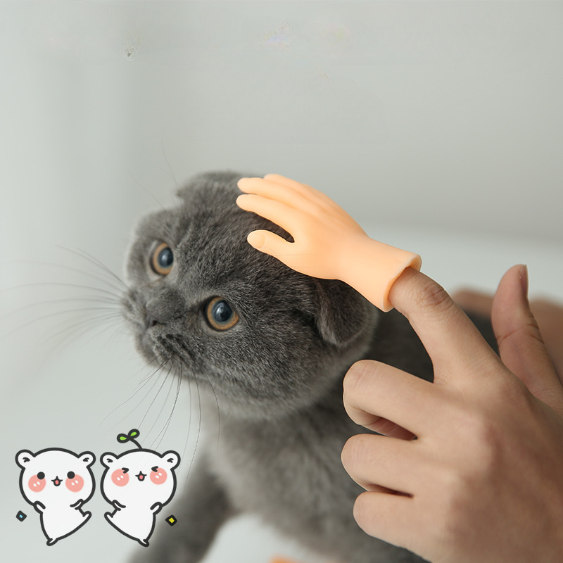 Massage interactif pour chat, mini gestes créatifs de la main