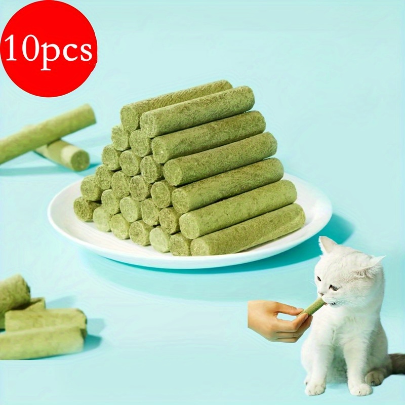 Frozen Pet Toys for Teeth Grinding and Cleaning - China Dog Dental