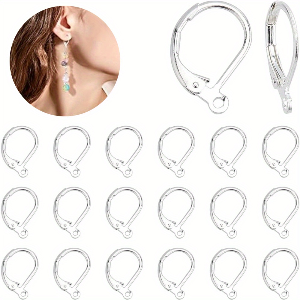 DICOSMETIC 40Pcs 2 Styles Lever Back Earring Findings Goldan and Silver  Leverback Earwire Circle Earring Hooks Brass Leverback Earrings for DIY