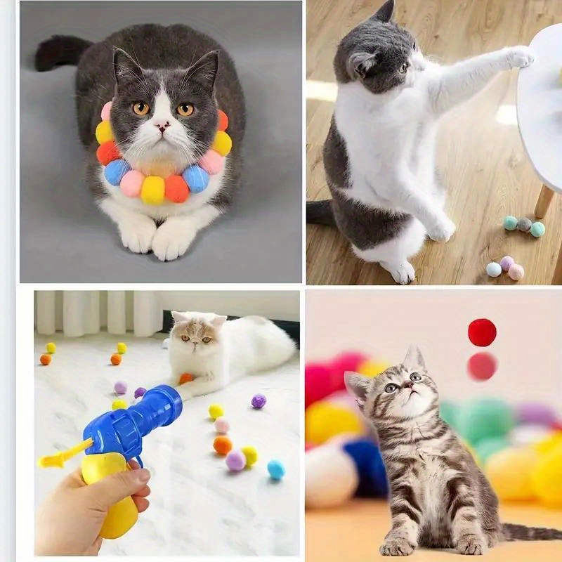 Jogos para gatos e treino