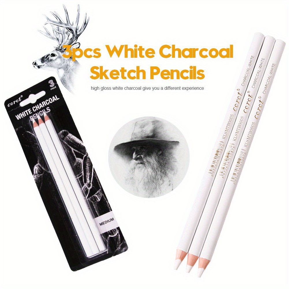 White Charcoal Pencil Sketch Hightlight Pens White Pencils Art Drawing  Tools Art Students Sketch Exercise Drawing Pencil - Temu Bulgaria