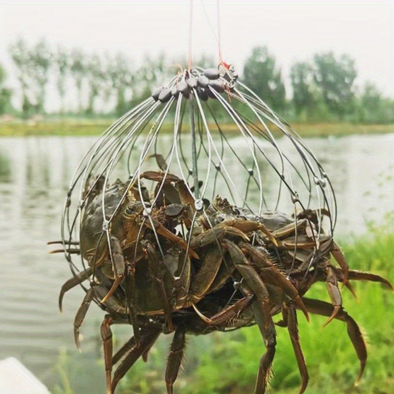 Steel Wires Fishing Net Fishing Trap Cage Crab Outdoor - Temu