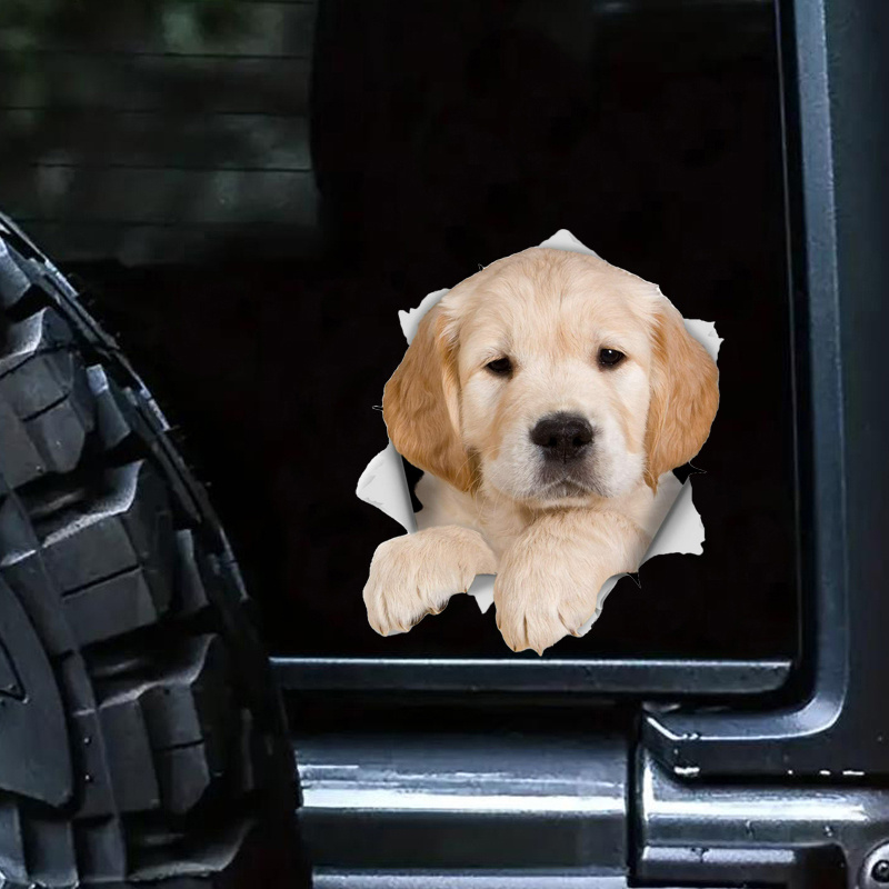 Adesivi Per Decalcomanie Per Cani, Cucciolo Di Golden Retriever Per Auto  Adesivi Per Auto In Vinile Di Nicchia Creativa, Adesivi Per Moto  Impermeabili - Temu Italy