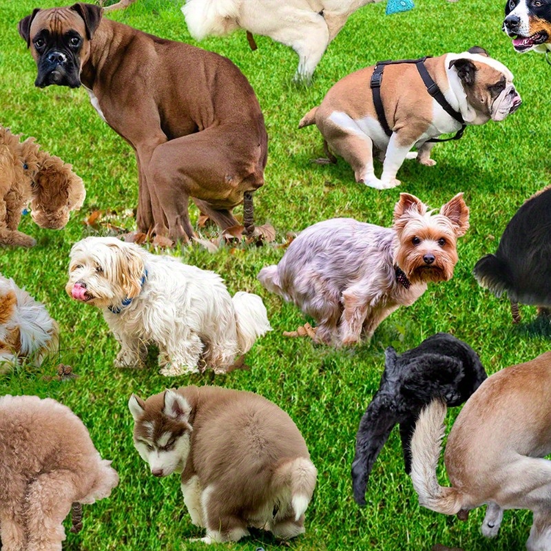 1000pcs Pooping Puppies Puzzle Funny Stress Relief Puzzle For Dog Animal  Lovers Free Shipping