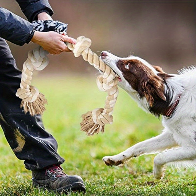 Xl Dog Chew Toys For Aggressive Chewers, Dog Balls For Large Dogs, Heavy  Duty Dog Toys With Tough Twisted, Dental Cotton Dog Rope Toy For Medium  Dogs