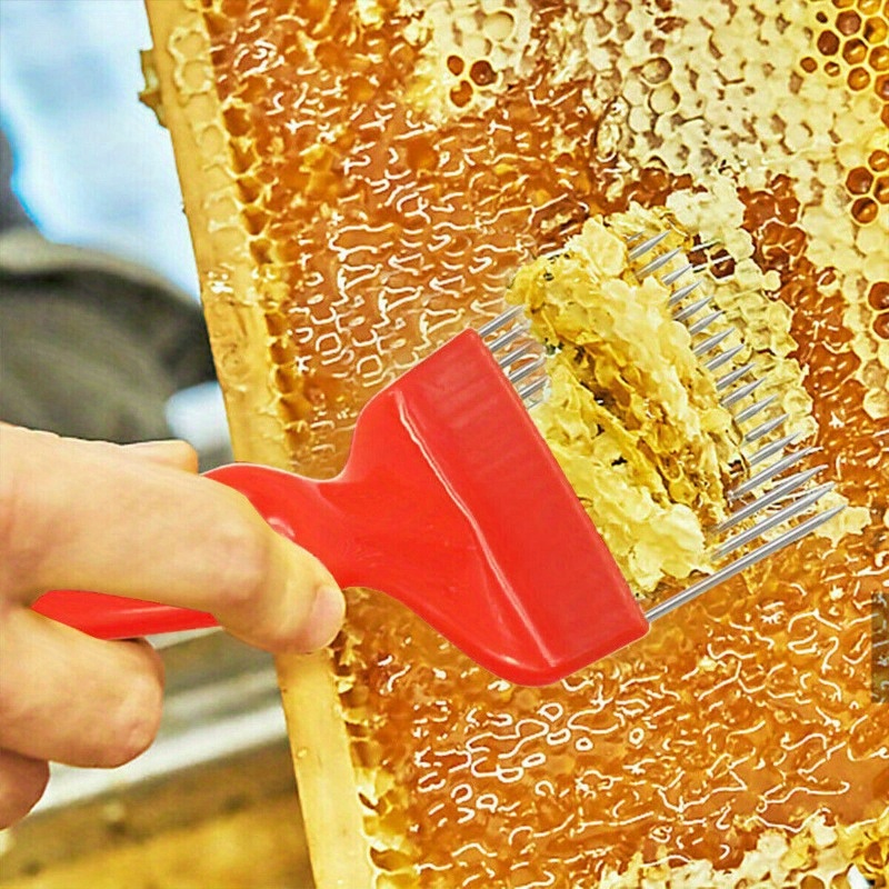 Outils de L'Apiculture Pince de Cadre Beehive Poignée de Cadre d'Abeille  Lifter Capture Gripper Apiculture pour Prendre le Miel Facilement et  d'Eviter les Piqûres d'Abeilles