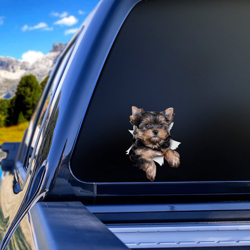 Yorkie sales car decal