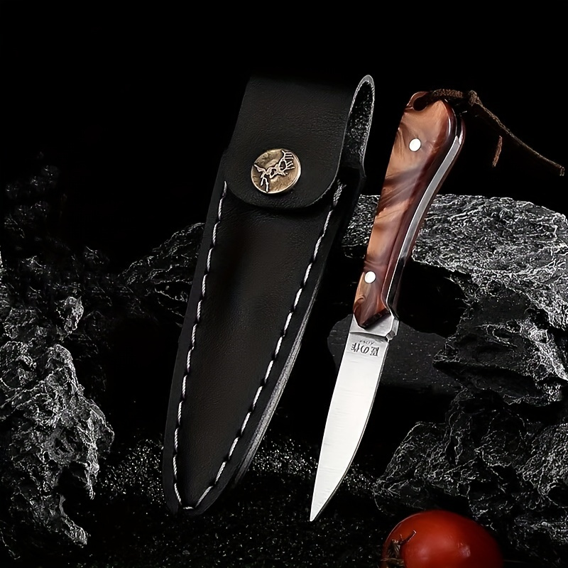 Stainless Steel Fruit Knife Paring Knife Outdoor Camping - Temu