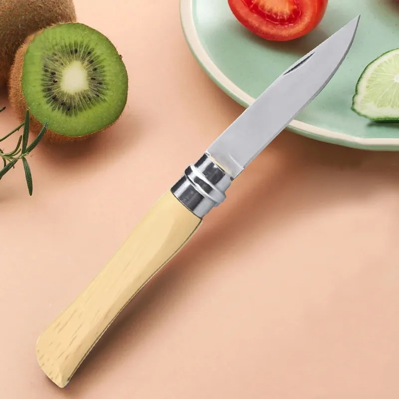 Portable Stainless Steel Fruit Knife Perfect For - Temu