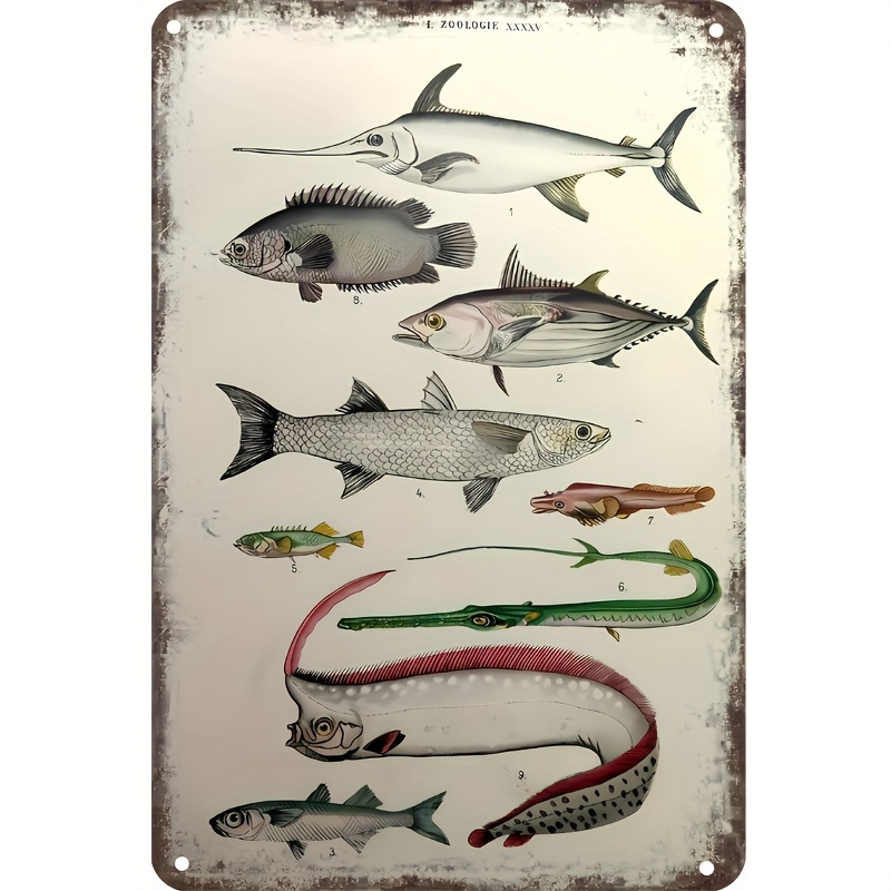 Freshwater Game Fish Tin Sign Vintage Fishing Wall Decor - Temu