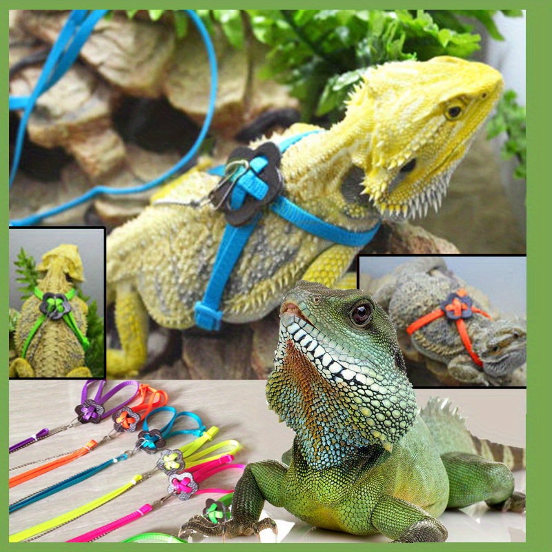 2pcs Blck Reptile Stainless Steel Long Tweezers Feeding Tongs, Lizards  Snake Gecko And Tarantula Supplies, Terrariums Aquarium Fish Tank Tools