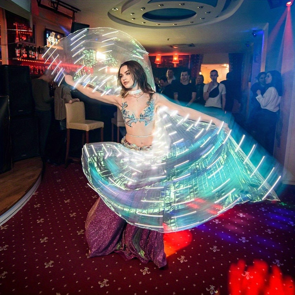 Butterfly Belly Dance Costume