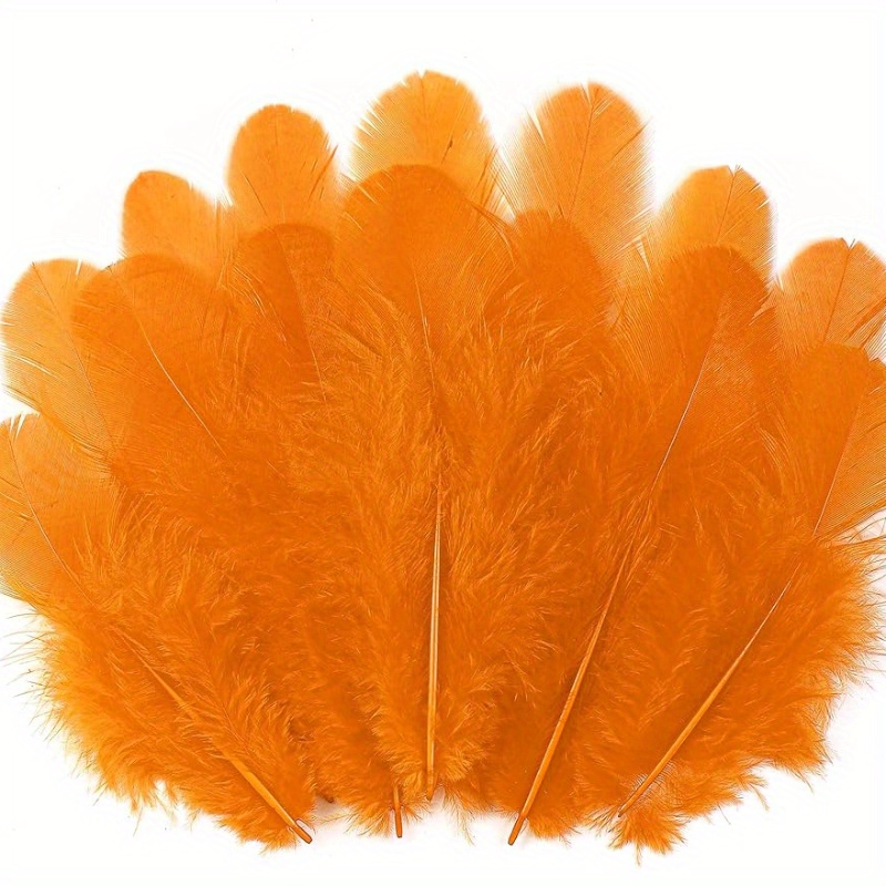20pcs Yellow Colorful Pheasant Duck Feathers For Crafts Natural Feather  Jewelry Handicrafts Accessories Decoration Fly Tying Materials