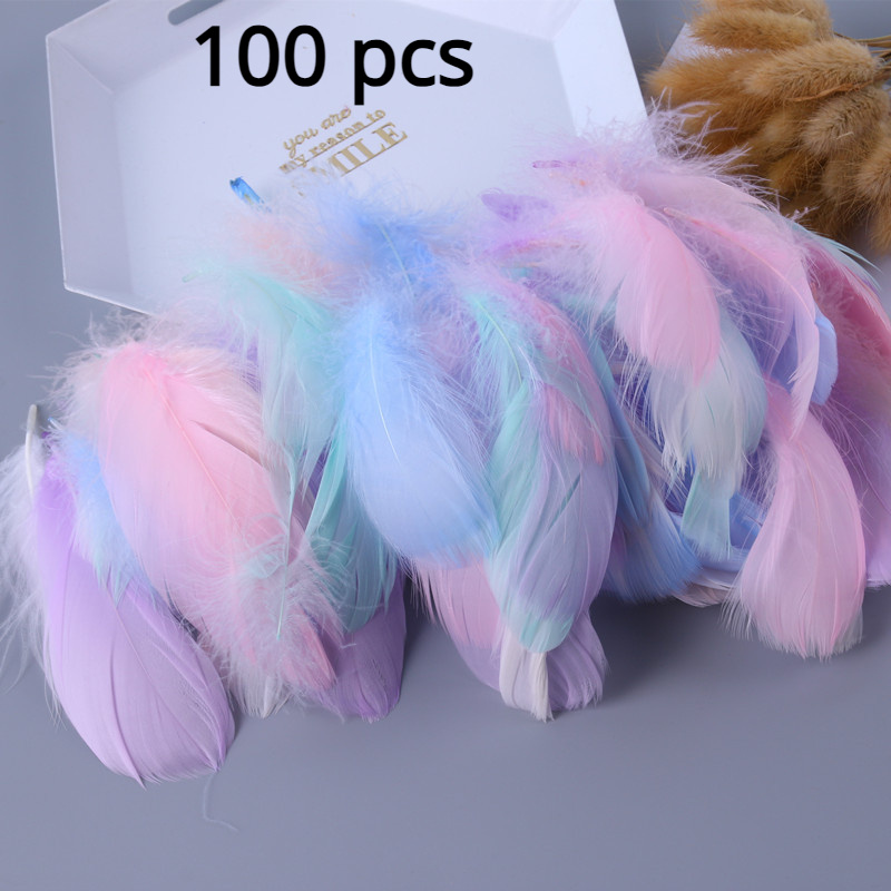 600pcs Colorful Feathers 20 Colors Craft Feathers 3-5 Inches