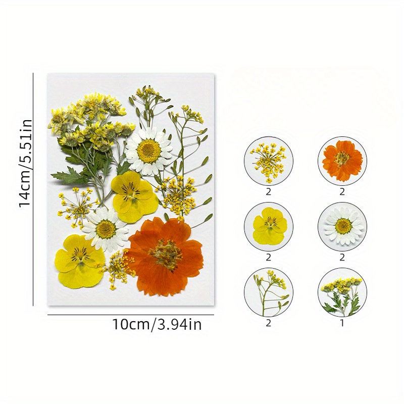 Create Unique Diy Projects With Dried Pressed Flowers Bulk - Temu