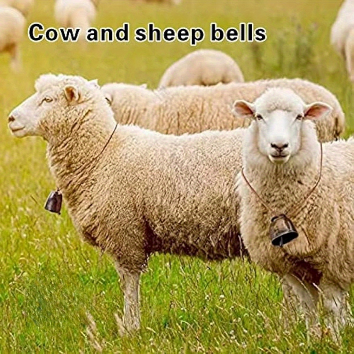 Grazing Cow Bells Horse Sheep Iron Bells Anti lost Bells - Temu