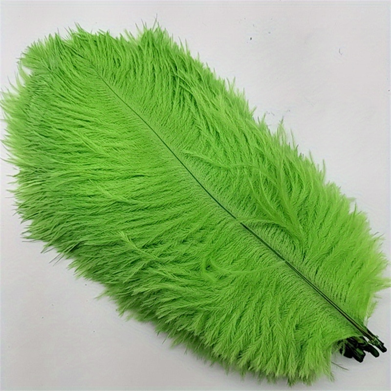 Green Feathers, Large Crafting Plumes