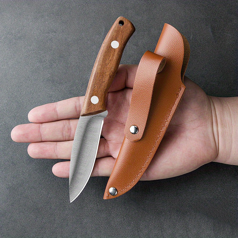 Multifunctional Stainless Steel Folding Mini Fruit Knife - Temu