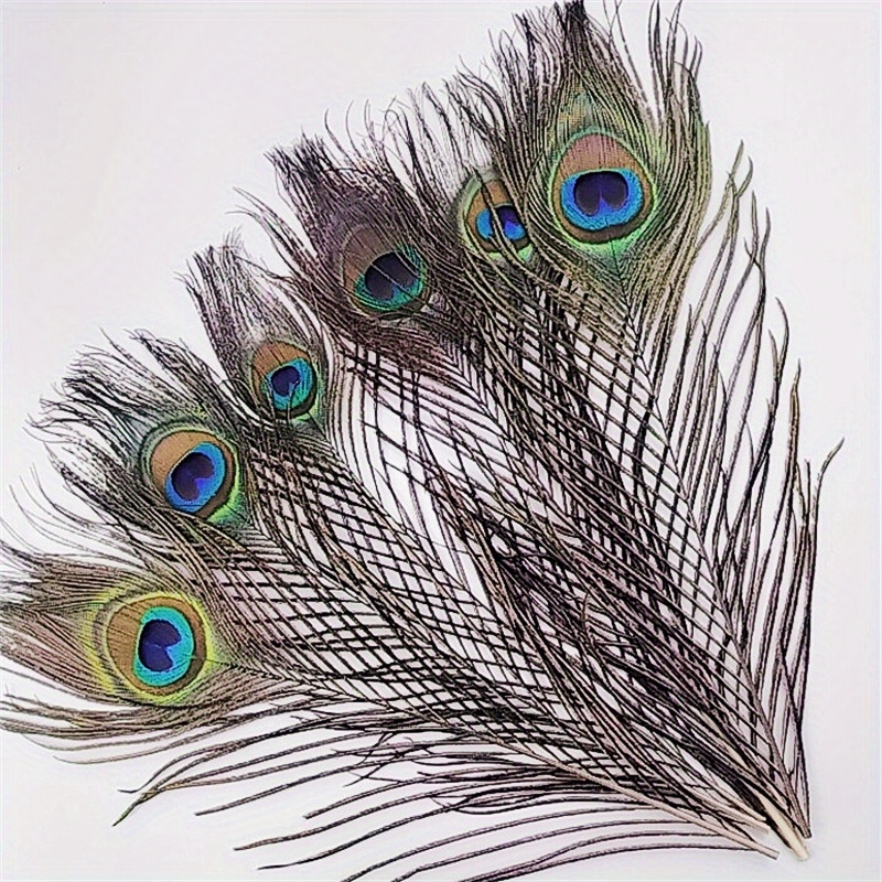 Lot Natural Peacock Feathers For Diy Craft Wedding Holiday - Temu
