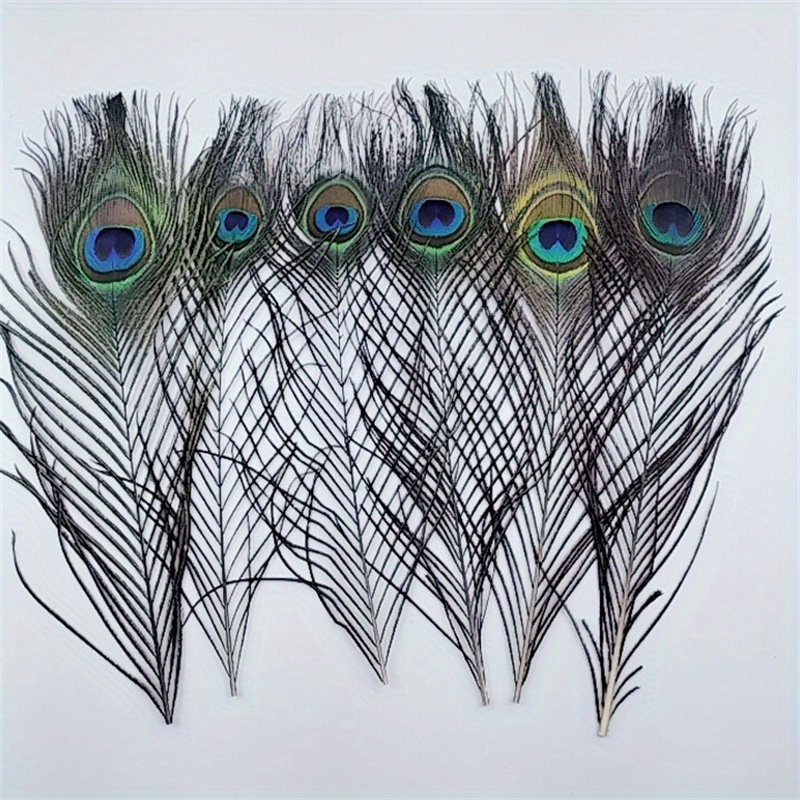 20Pcs/Lot Peacock Feathers for Crafts Peacock Decor Natural