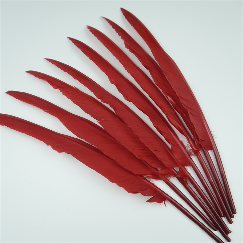  Long Feathers For Vase