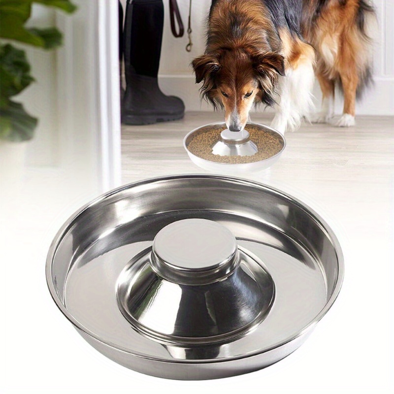 Slow Feeder Dog Double Bowls Stainless Steel 4 in 1 Food - Temu